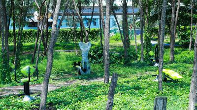 Alappuzha municipality transforms waste-filled land into outdoor gym and park