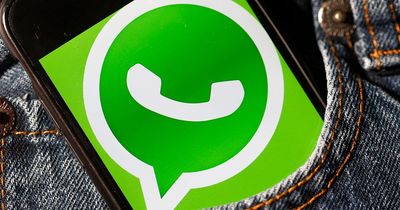 Revolutionary WhatsApp upgrade exposed and it will change your chat account for good