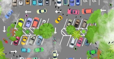 Only people with sharp eyes can identify driver mistakes in tricky brain teaser