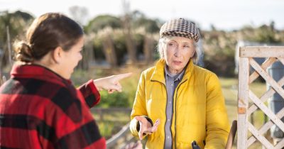 'My mother-in-law arranged to plant a tree in our garden - she didn't get permission'