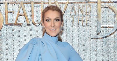 Celine Dion's life now - waterpark home ditched and tour axed amid human statue health battle