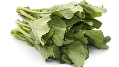 CRISPR Mustard Greens Test America's Appetite for Designer Veggies