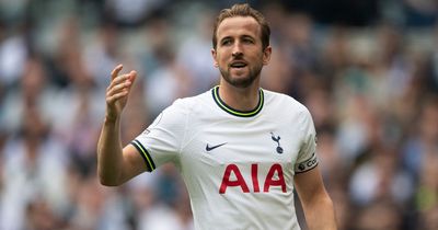Daniel Levy handed Tottenham summer priority after manager blow amid worrying Harry Kane claim
