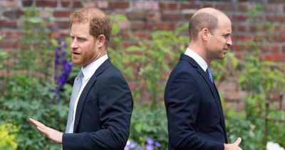 Prince Harry's relationship with William 'destroyed by one simple word'