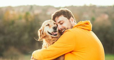 Least friendly dog breeds revealed – and which ones are actually man's best pals