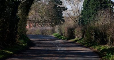 Two brothers beat paedophile pensioner to death before dumping body in woodland