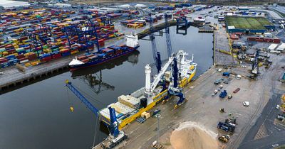 PD Ports invests millions in electric harbour cranes as part of carbon neutral push