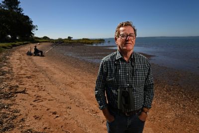 Toondah Harbour: should a wetland home to endangered birds become $1.3bn worth of shops, high-rises and a marina?