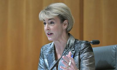 Coalition’s pity party at estimates was a surefire recipe for electoral embarrassment