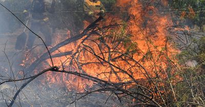 Scotland wildfire warning as 'very high risk' across country this weekend