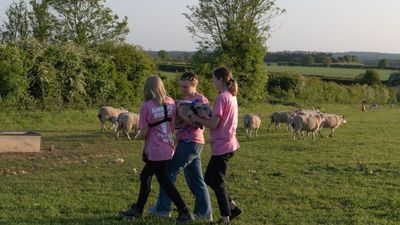 Animal Rights Activists Stole Three Lambs From King Charles