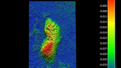 Scientists Discover The World’s Oldest Human Footprint