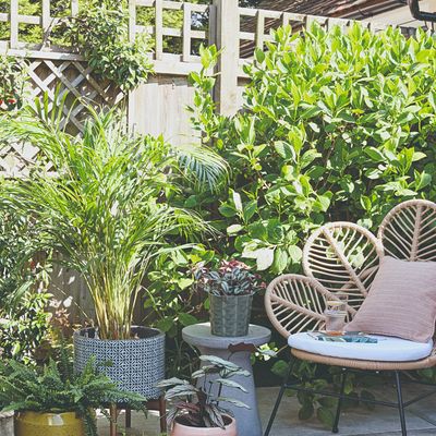 45 budget garden ideas for enhancing your outdoor space