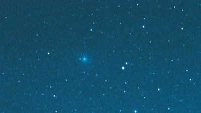 40 years ago, a comet came out of the blue in a surprise Earth flyby. Here's what we know now.
