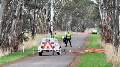 Four young lives lost after driver hits tree near Hamilton in western Victoria