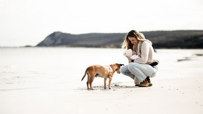 Flinders Island pushes for solution to childcare shortage