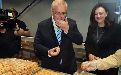NSW Liberals pick Maria Kovacic to fill late Jim Molan’s seat in Senate