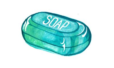 What makes soap smell nice and why do people have hair? Try our kids’ quiz