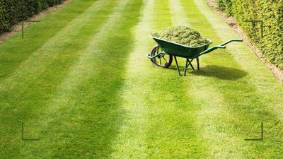15 common lawn care mistakes that experts warn are easy to make and guaranteed to damage your grass