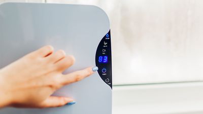 Does a dehumidifier make a room cooler? Experts explain how yours could help beat the heat