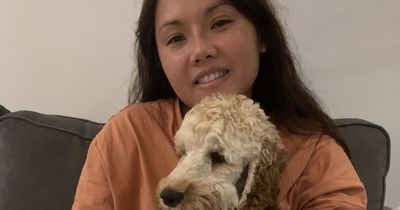 'Real Andrex puppy' causes chaos by trailing 32ft of toilet roll all around home