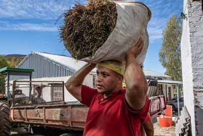 Local farmers in South Africa were cut out of rooibos tea cash. Now change is brewing