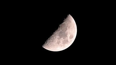 Watch the half moon of May shine by Leo the Lion in the night sky tonight