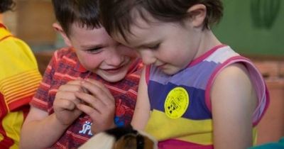 People warned to stay safe if visiting farms following rise in gastro-infection cases