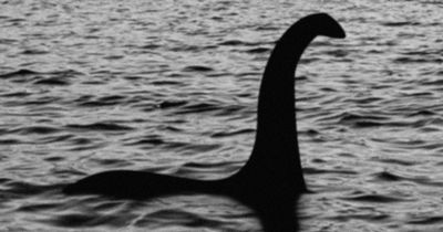 Loch Ness Monster hunter says 'something unusual is happening' in the mystical lake water