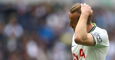 Peter Crouch makes surprising Harry Kane swipe at Newcastle United