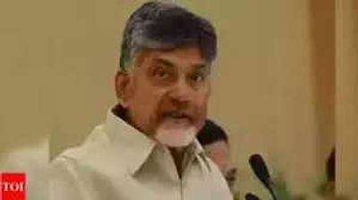 Chandrababu Naidu reelected as TDP chief
