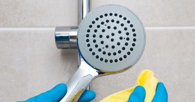 Easy method to dissolve limescale and bacteria from your showerhead