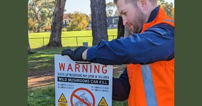 'Just not worth the risk': warning issued after deadly mushrooms spotted in ACT