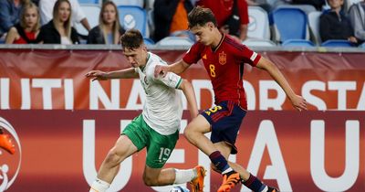 Ruthless Spain put an end to Ireland's European Championship run