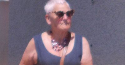 West Country pensioner made neighbours lives 'a living nightmare' and tried to poison their cat