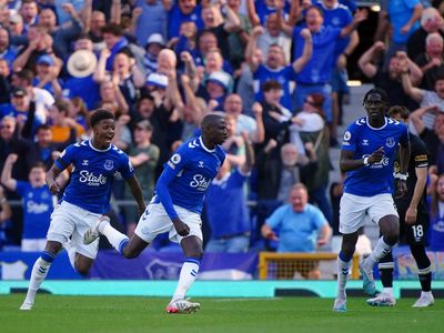 Premier League relegation battle: Results and final scores as Everton stay up to relegate Leicester and Leeds