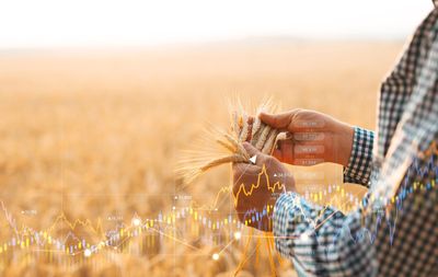 Sunday Scaries: What AI Thinks You Should Be Watching This Week in the Grain Markets