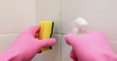 'Harmless' pink mould can cause UTIs and pneumonia - how to get it out of your bathroom