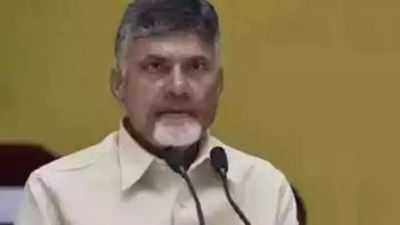 Chandrababu Naidu announces sops to attract women, youth and farmers