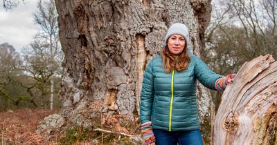 'We need to save our precious oak trees to protect some iconic wildlife species'