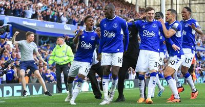 Everton dodge drop but shambolic season shows Farhad Moshiri vanity project must end