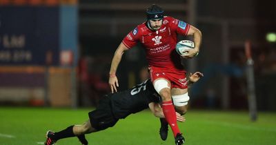 Young Wales international axed by Scarlets to resurrect career in England