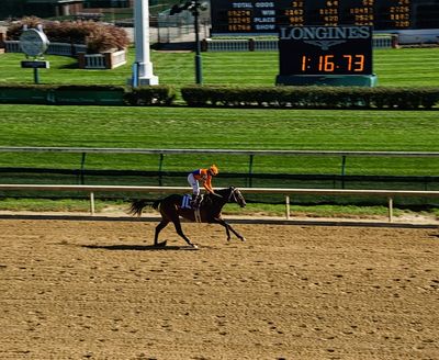 Two more horses euthanized at Churchill Downs following races