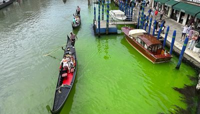 Is Venice green with envy? Police in Italy investigate suddenly verdant Grand Canal