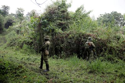 Two rangers shot dead in DR Congo’s Virunga park