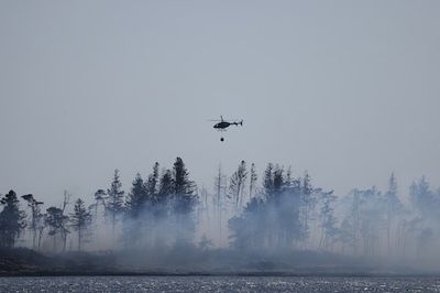 Wildfires Are Here: A Toxicologist Explains How To Protect Yourself