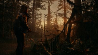 Alan Wake 2 should be available physically, says THQ Nordic – and it's offered to help, too