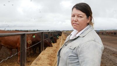 Male-dominated meat industry pushes to draw more women into the workforce