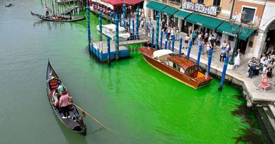 Water in famous Venice canal turns bright green as baffled police launch investigation