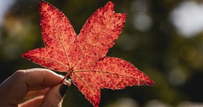 The cold days are here to stay as temperatures drop in the Hunter